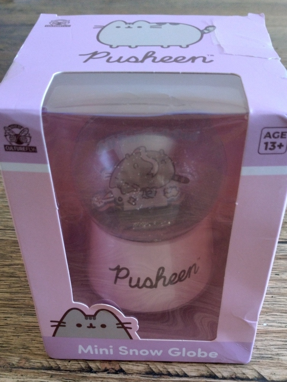 🦋 PUSHEEN SNOW GLOBE 🦋